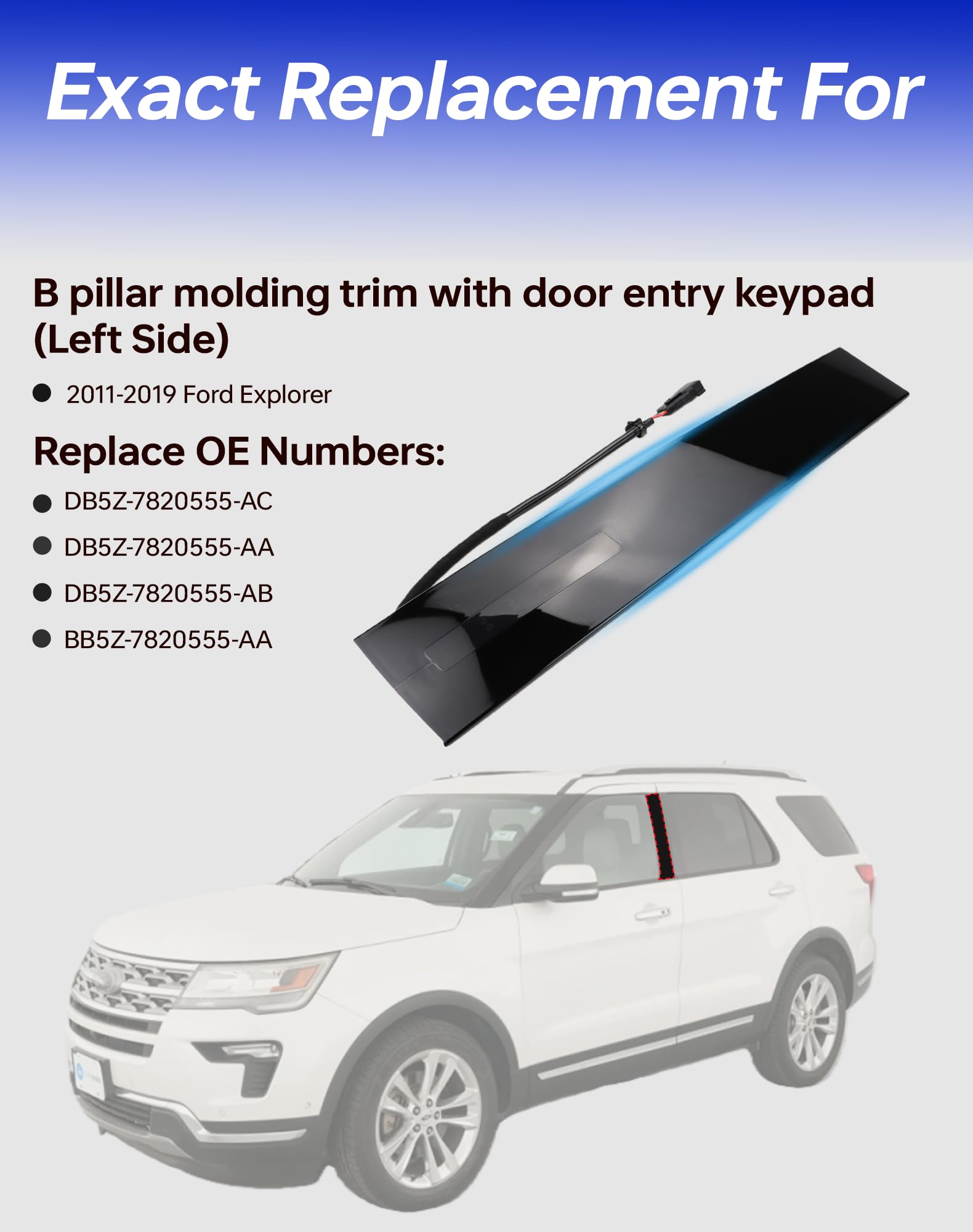 Flecto Door Molding Set